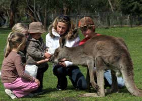 Gumbuya Park - Accommodation Ballina 1