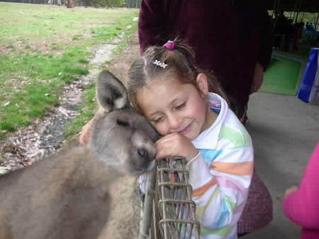 Gumbuya Park - Accommodation Ballina 3