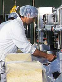 Allansford Cheese World - Accommodation Ballina 1