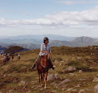 High Country Horses