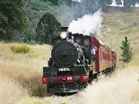 Storeyline Tours - Accommodation Ballina 2