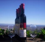 Mount Tamborine Winery  Homestead - Accommodation Ballina