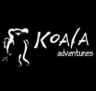 Koala Adventures - Accommodation Ballina