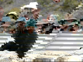  Accommodation Ballina