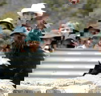 Tasmania Zoo - Accommodation Ballina