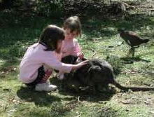 Urimbirra Wildlife Park - Accommodation Ballina 1