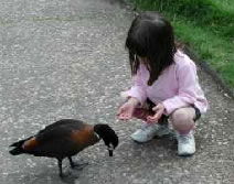 Urimbirra Wildlife Park - Accommodation Ballina 3