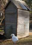 Wagga Wagga Zoo - Accommodation Ballina 2