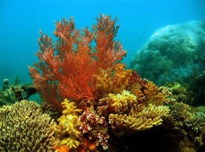  Accommodation Ballina