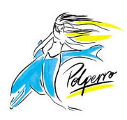 Polperro Dolphin Swims - Accommodation Ballina