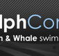 Dolphcom - Dolphin  Whale Swimming Adventures - Accommodation Ballina