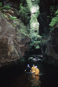 High And Wild Mountain Adventures - Accommodation Ballina 1