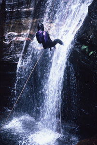 High And Wild Mountain Adventures - Accommodation Ballina 2