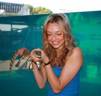 Crocosaurus Cove - Accommodation Ballina