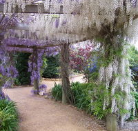 Abingdon Miniature Village - Accommodation Ballina