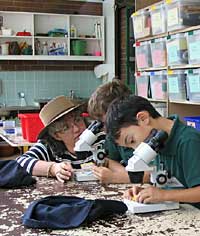 Australian National Botanic Gardens - Accommodation Ballina 2