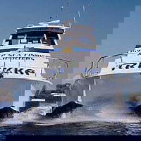 Sunshine Coast Fishing Charters - Accommodation Ballina 0