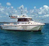 Sunshine Coast Fishing Charters - Accommodation Ballina 1