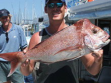 Sunshine Coast Fishing Charters - Accommodation Ballina 2