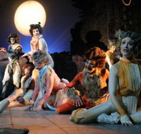 Harvest Rain Theatre Company - Accommodation Ballina