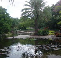 Brisbane City Botanic Gardens - Accommodation Ballina