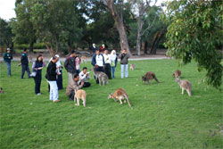 Caversham Wildlife Park - Accommodation Ballina 2