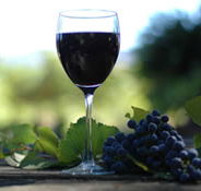 Lion Mill Vineyards - Accommodation Ballina