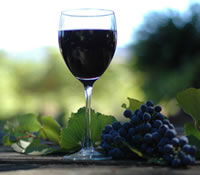 Lion Mill Vineyards - Accommodation Ballina 0
