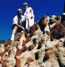 Mystery Craters - Accommodation Ballina 2