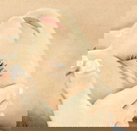 The Golden Door Spa  Health Club at Mirage Resort - Accommodation Ballina