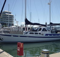 Coral Sea Dreaming Dive and Sail - Accommodation Ballina