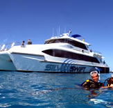 Silver Swift - Accommodation Ballina