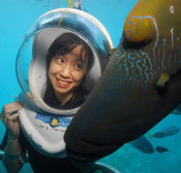 Sunlover Reef Cruises - Accommodation Ballina