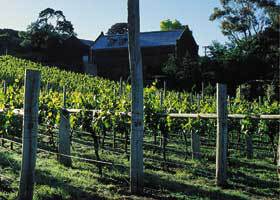 Goona Warra Vineyard - Accommodation Ballina 1