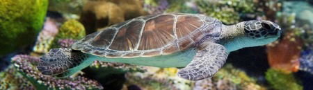Melbourne Aquarium - Accommodation Ballina 1