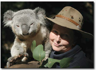 Koala Park Sanctuary - Accommodation Ballina 2