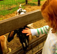 Collingwood Children's Farm - Accommodation Ballina