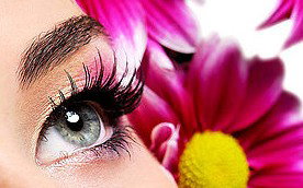 Glow Retreat - Accommodation Ballina 5