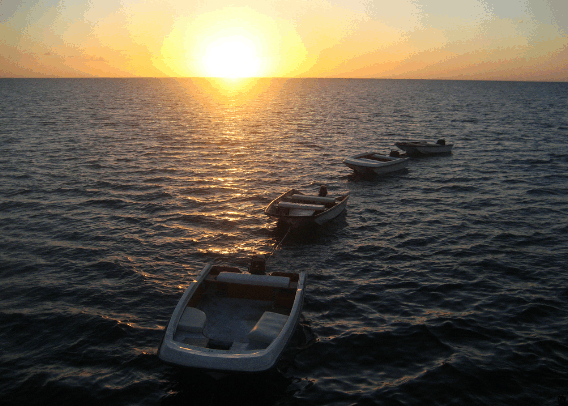 Carlo Fishing Charters - Accommodation Ballina 2