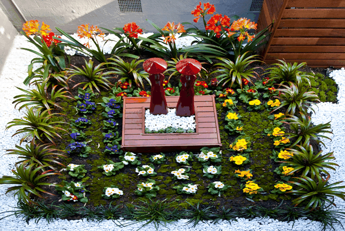 Masci Hair & Spa - Accommodation Ballina 4