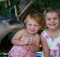 Dolphin Marine Magic - Accommodation Ballina