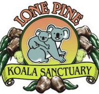 Lone Pine Koala Sanctuary - Accommodation Ballina