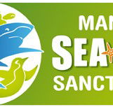 Manly SEA LIFE Sanctuary - Accommodation Ballina