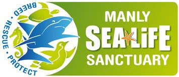 Manly SEA LIFE Sanctuary - Accommodation Ballina 0