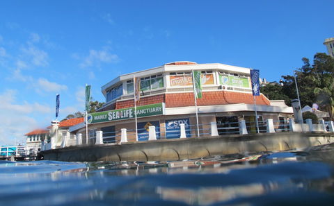 Manly SEA LIFE Sanctuary - Accommodation Ballina 2