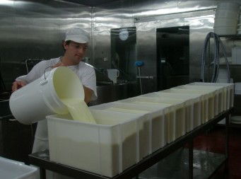 Witches Chase Cheese Co - Accommodation Ballina 1