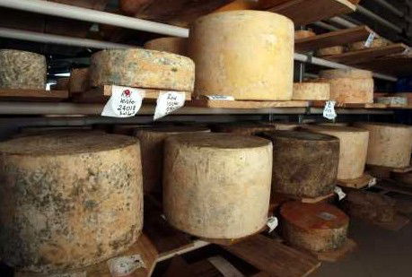 Witches Chase Cheese Co - Accommodation Ballina 3
