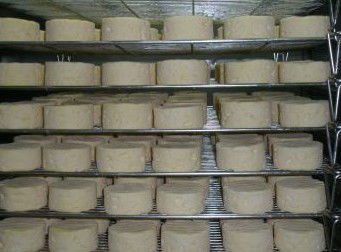 Witches Chase Cheese Co - Accommodation Ballina 5