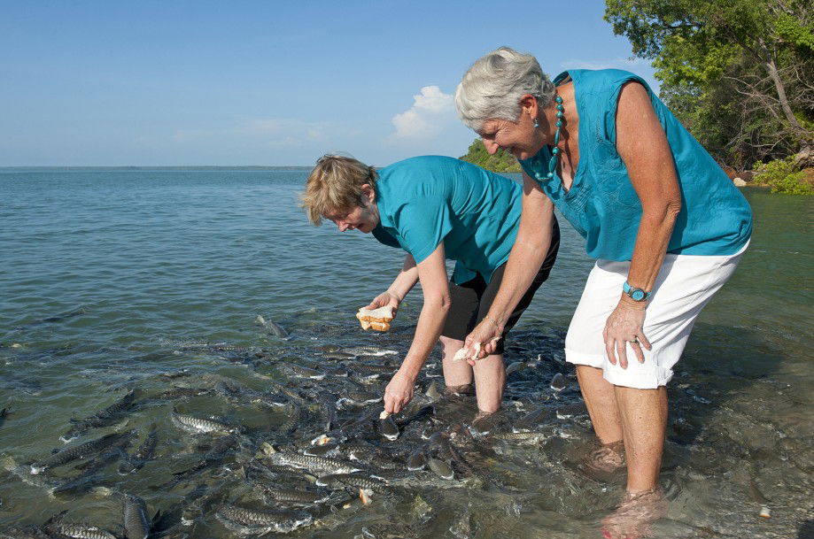 Darwin And Surrounds NT Accommodation Ballina