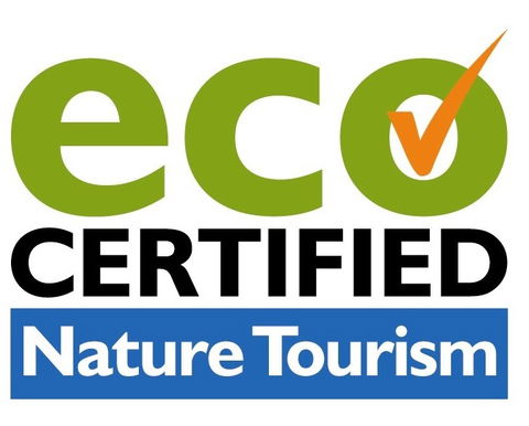 Aquascene Fish Feeding Sanctuary - Accommodation Ballina 4